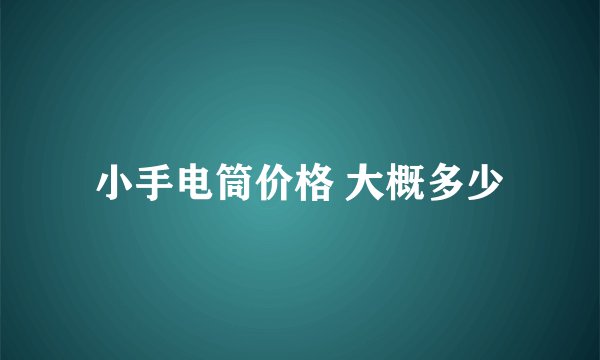 小手电筒价格 大概多少