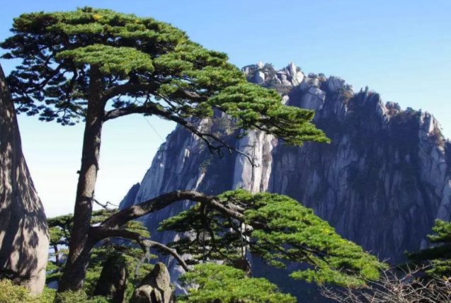 五一适合去国内的什么地方旅游？