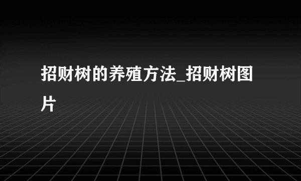 招财树的养殖方法_招财树图片