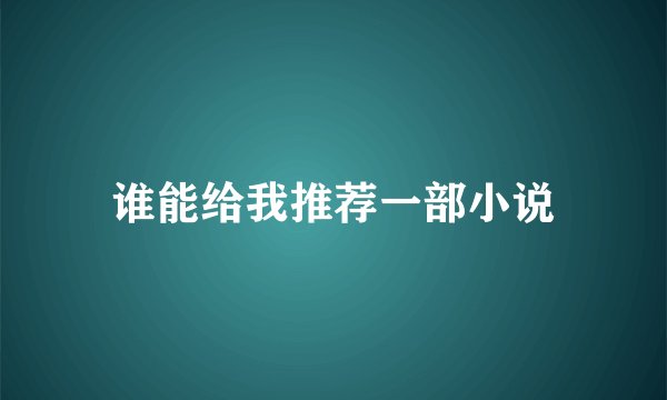 谁能给我推荐一部小说