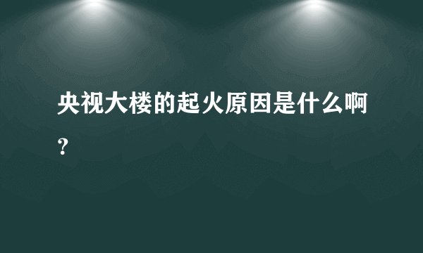 央视大楼的起火原因是什么啊？