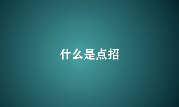 什么是点招