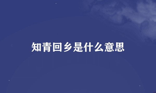 知青回乡是什么意思