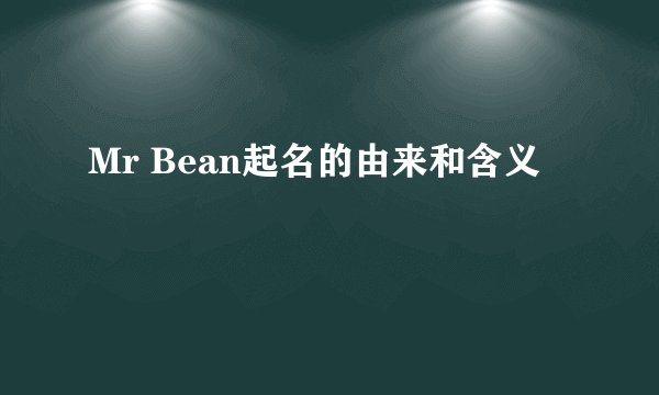 Mr Bean起名的由来和含义