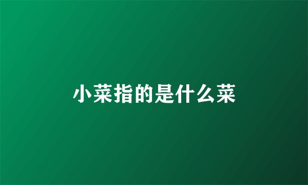 小菜指的是什么菜