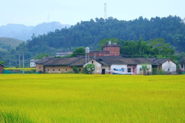 田园风光的意思是什么
