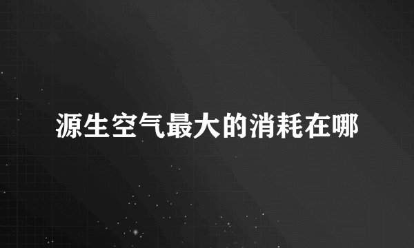 源生空气最大的消耗在哪