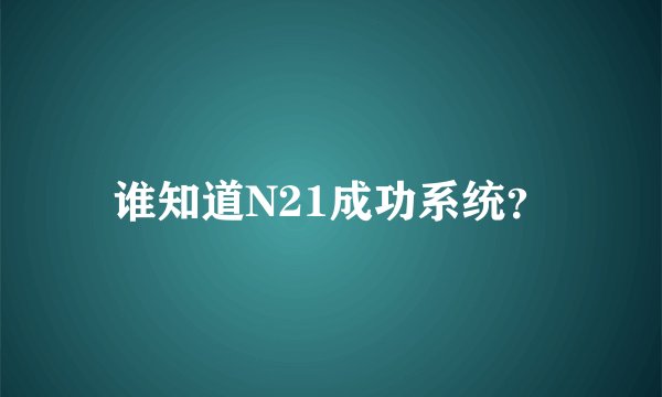 谁知道N21成功系统？