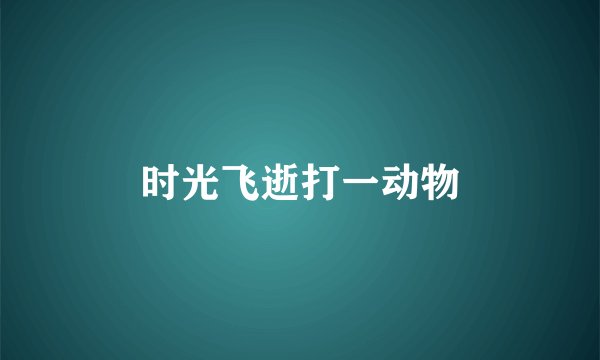 时光飞逝打一动物