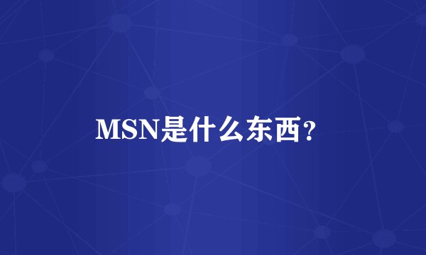 MSN是什么东西？