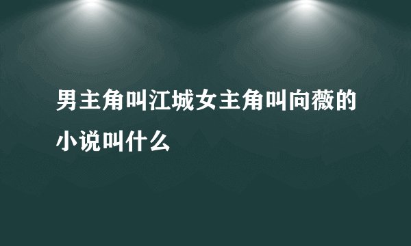 男主角叫江城女主角叫向薇的小说叫什么