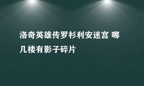 洛奇英雄传罗杉利安迷宫 哪几楼有影子碎片