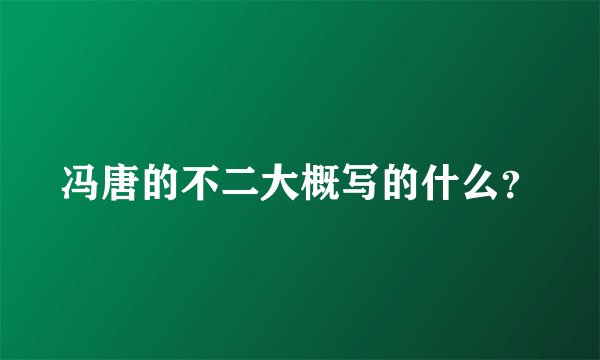 冯唐的不二大概写的什么？