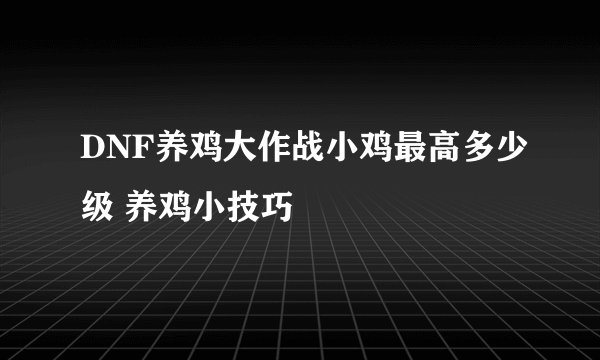 DNF养鸡大作战小鸡最高多少级 养鸡小技巧