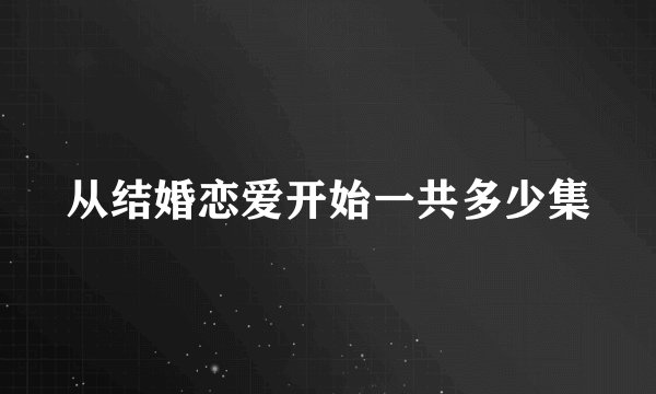 从结婚恋爱开始一共多少集