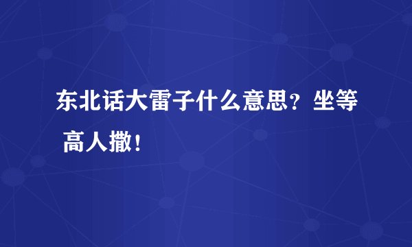 东北话大雷子什么意思？坐等 高人撒！
