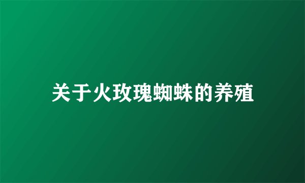 关于火玫瑰蜘蛛的养殖
