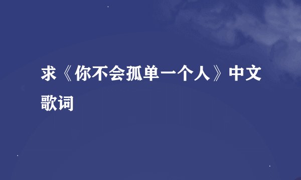 求《你不会孤单一个人》中文歌词