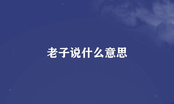 老子说什么意思
