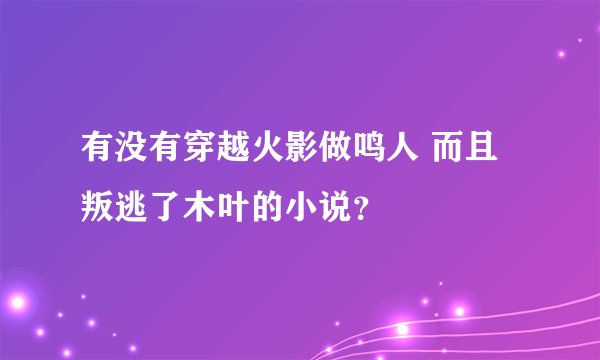 有没有穿越火影做鸣人 而且叛逃了木叶的小说？