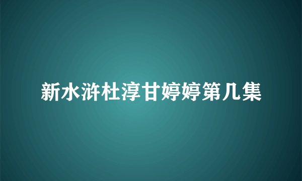 新水浒杜淳甘婷婷第几集