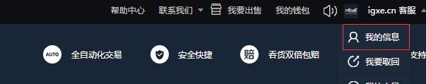 igxe买的东西怎么取回steam？
