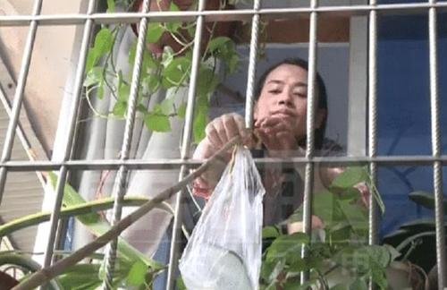 老夫妻被困家中邻居竹竿递送三餐,你被这位邻居感动了吗?