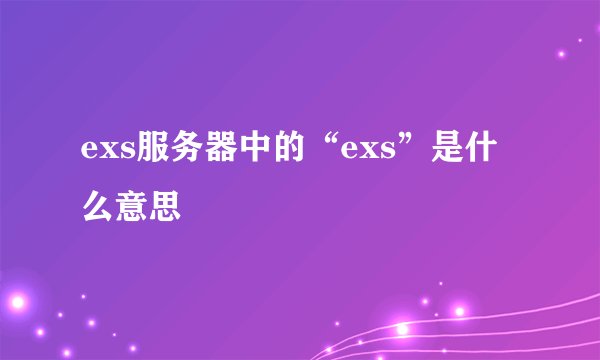 exs服务器中的“exs”是什么意思