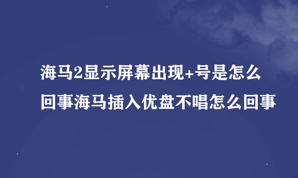 海马2显示屏幕出现+号是怎么回事海马插入优盘不唱怎么回事