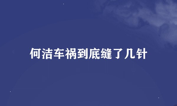 何洁车祸到底缝了几针