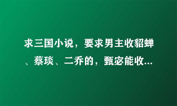 求三国小说，要求男主收貂蝉、蔡琰、二乔的，甄宓能收就收，感情写的到位一点，完本。
