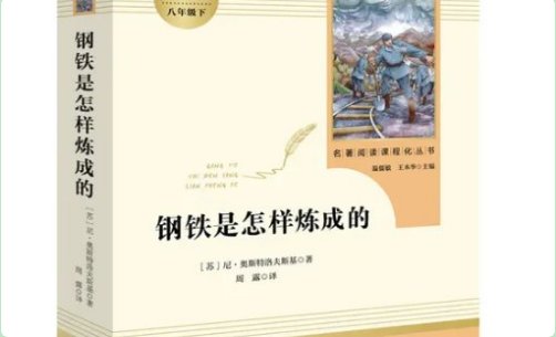 钢铁是怎样炼成的读书笔记摘抄赏析10篇是什么?