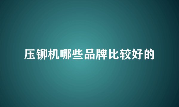 压铆机哪些品牌比较好的