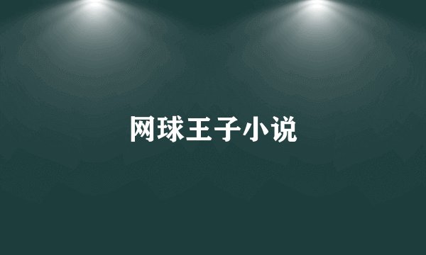 网球王子小说