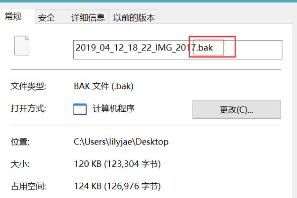 bak格式文件用什么软件打开?