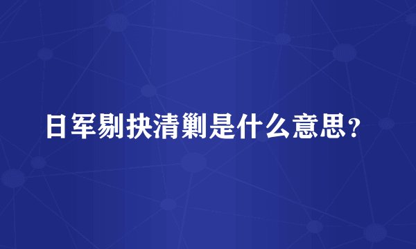 日军剔抉清剿是什么意思？
