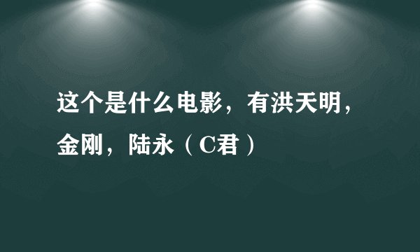 这个是什么电影，有洪天明，金刚，陆永（C君）