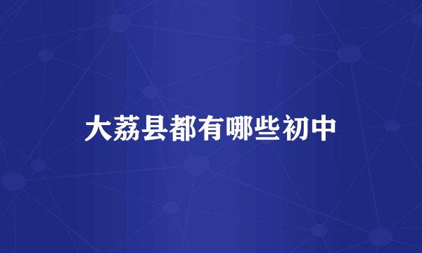 大荔县都有哪些初中