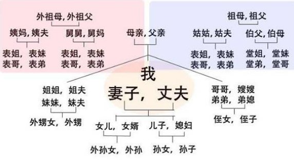 妈妈的姐姐应该称呼什么？