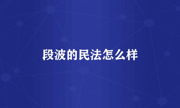 段波的民法怎么样