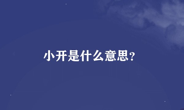 小开是什么意思？