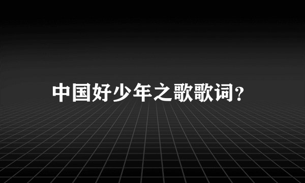 中国好少年之歌歌词？