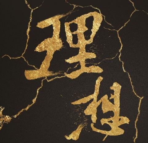 理想指什么？ 什么是理想呢