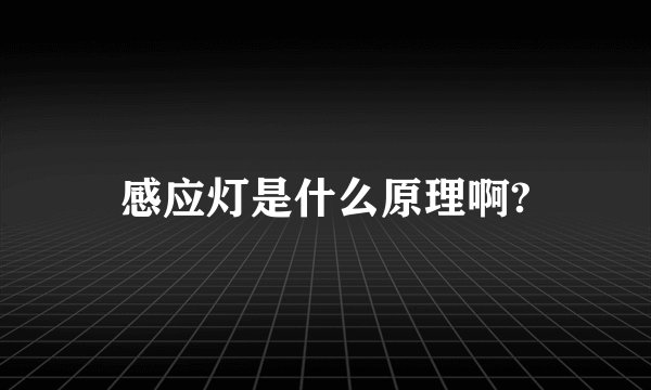 感应灯是什么原理啊?
