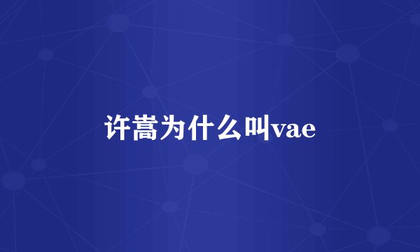 许嵩为什么叫vae