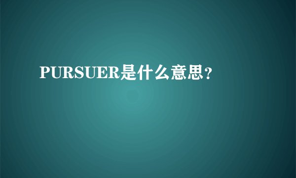 PURSUER是什么意思？