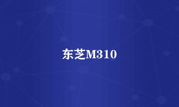 东芝M310