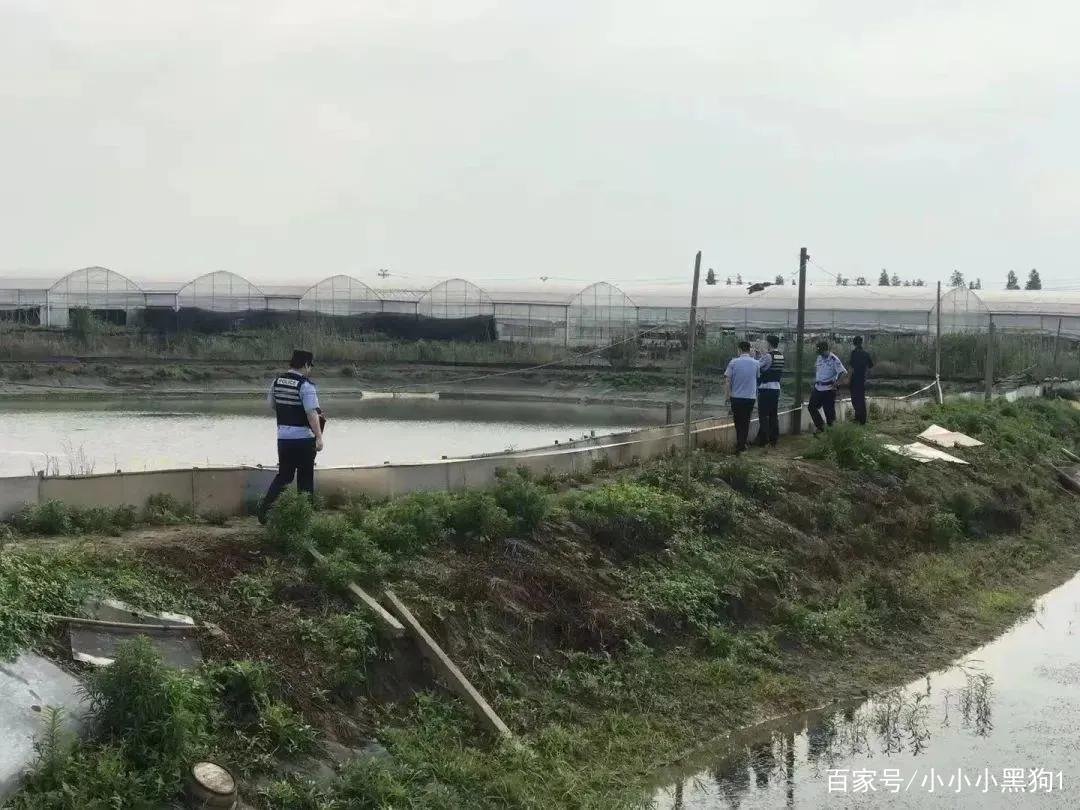 不明物体坠落浙江嘉善鱼塘一事引发社会关注,此事调查的如何了?