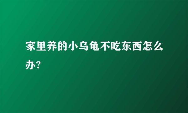 家里养的小乌龟不吃东西怎么办?
