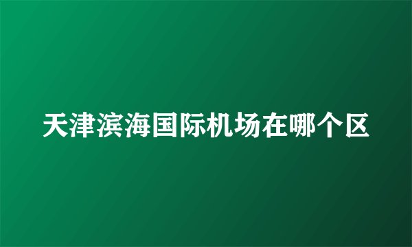 天津滨海国际机场在哪个区